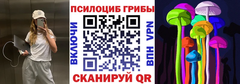 Псилоцибиновые грибы мицелий  kraken как зайти  Астрахань 